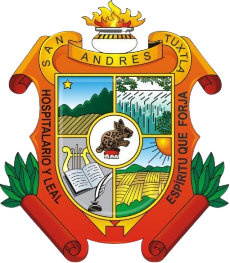 Logo San Andres Tuxtla